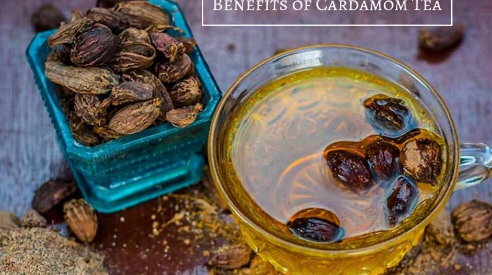 Cardamom Tea and its Benefits [Updated-2024]