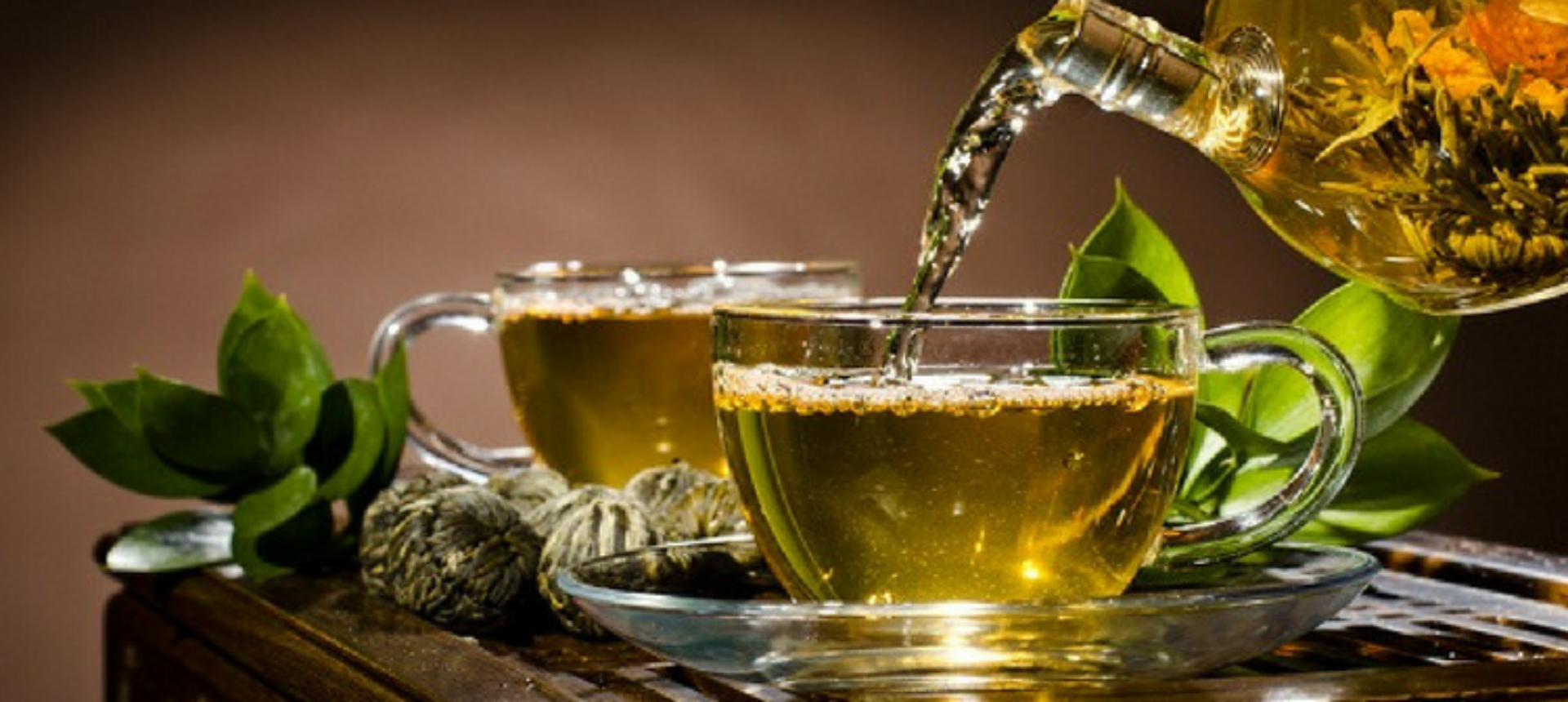 Why Green Tea Had Been So Popular Till Now? [Updated-2024]