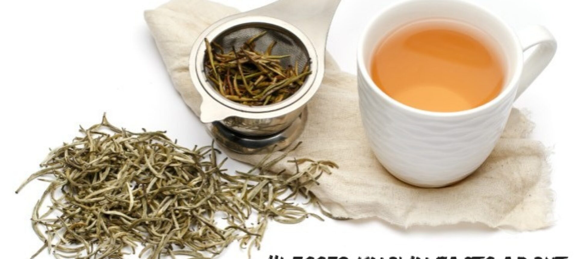 Lesser known facts about White Tea [Updated-2024]