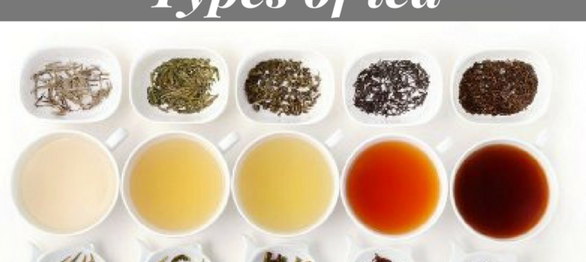 Varieties Of Tea To Drink This Winter [Updated-2024]