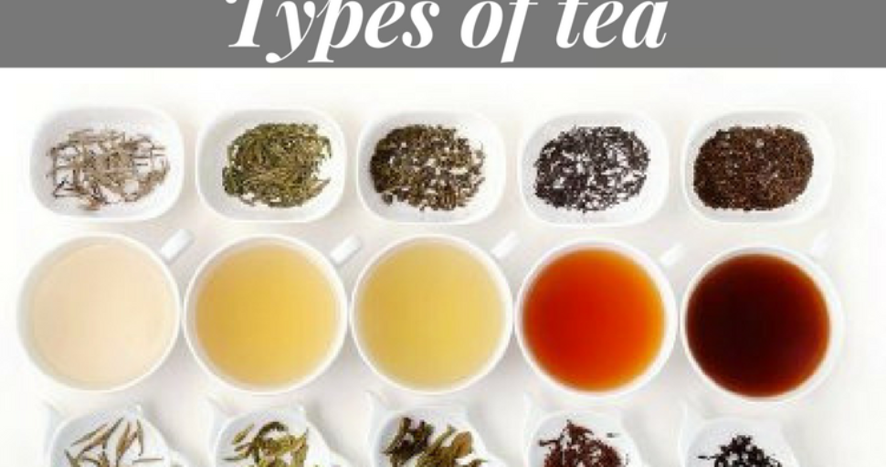 Varieties Of Tea To Drink This Winter [Updated-2024]