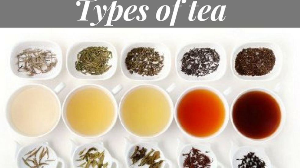 Varieties Of Tea To Drink This Winter [Updated-2024]